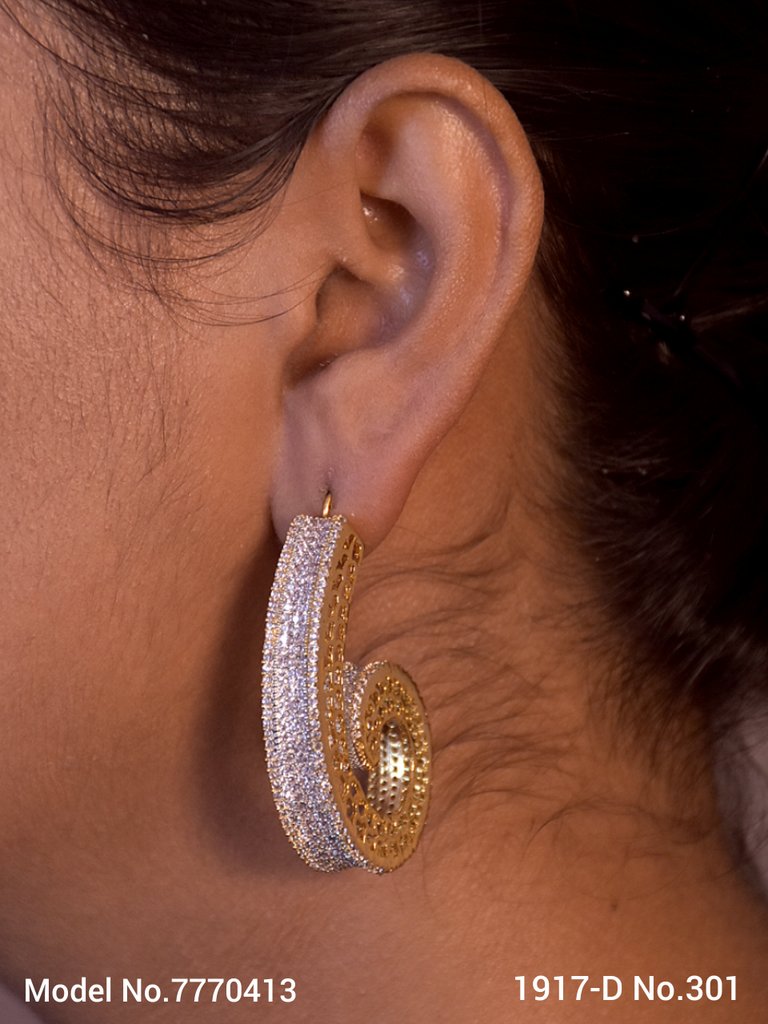 Earrings for grand Occasions - Amaara World