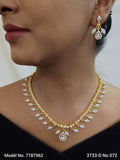 Amazing Traditional Jewelry Set - Amaara World