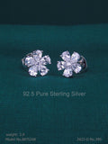 925 Sterling Silver Earrings - Amaara World